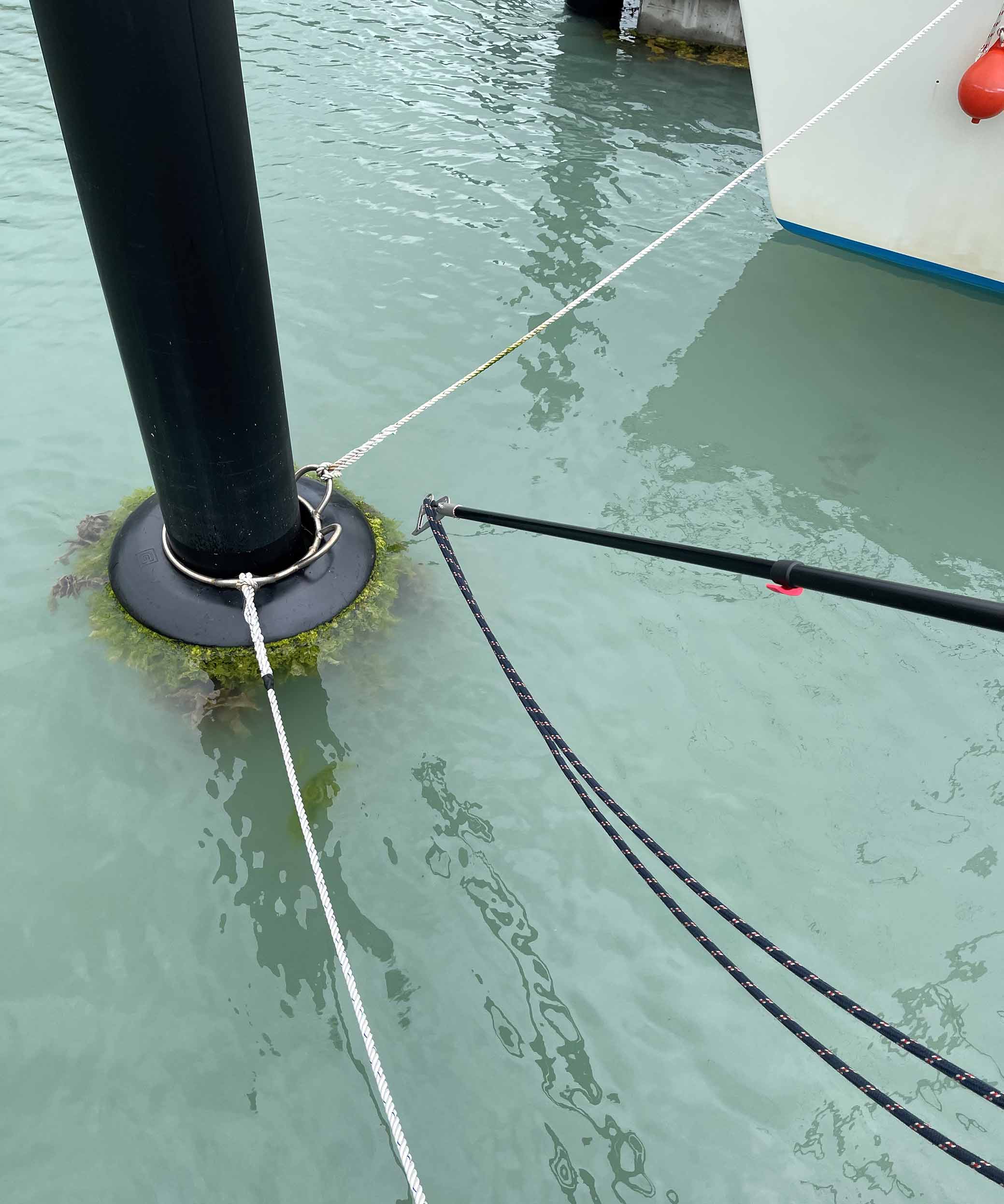 pile mooring - perfect for buoycatcher